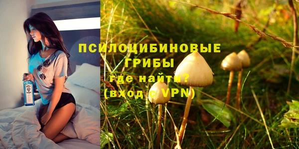 прущий лед Арсеньев